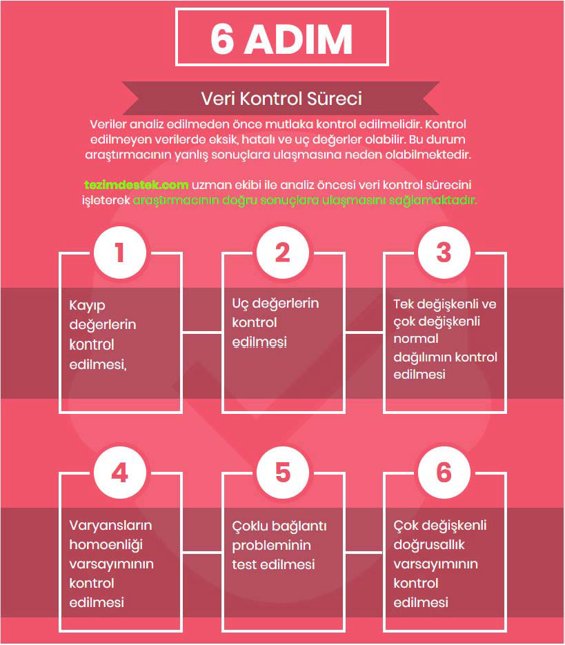 spss veri analizi kontrol süreci